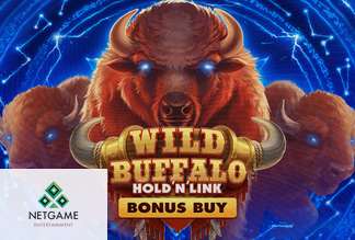 Wild Buffalo Hold 'N' Link Bonus Buy